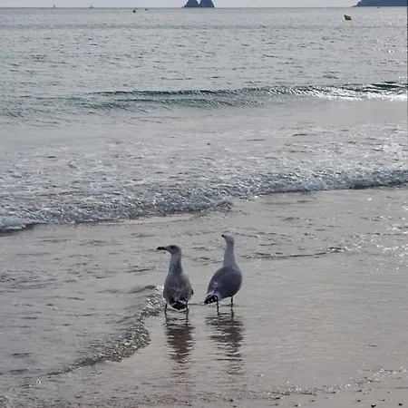 Les Pieds Dans L'eau Avec Climatisation !